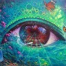 Goodwin Win