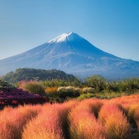 刘星海