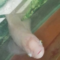 陈洪财