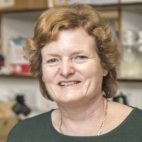 Wendy Harwood