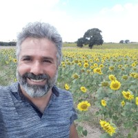 Erdal A.