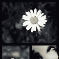 مياده احمد ناصر