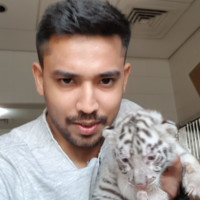 Sreenu Sreekumar