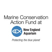 Mcaf Neaq