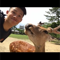 Ka Hei Chan