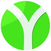 Yomi Denzel Institute