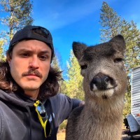 Brandon Hearn