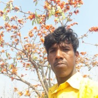 Boya Lokesh
