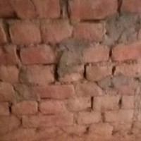 Divya Kant Pandey