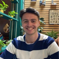 Martijn Kamminga