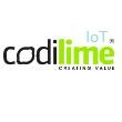 Codilime Iot