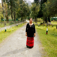 Krishna Banerjee