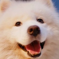 季如佳