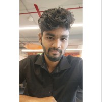 Sankar Narayanan R