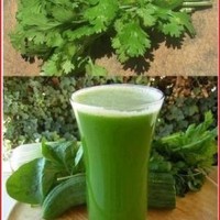 majibur  rahman khan