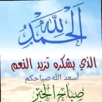 Maher Hamed