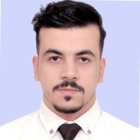 Hamza Elaasei