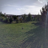 Roberto Horacio Nasif Salum