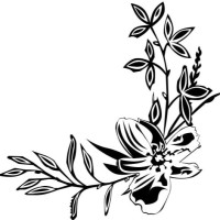 Dev Project