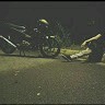 Duy Ly