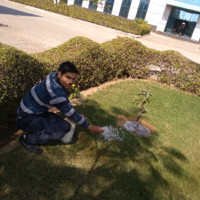 Mahendra Singh