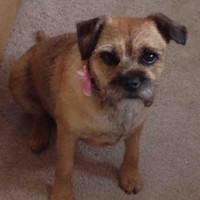Sally-Ann Ellse