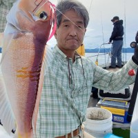 高橋賢