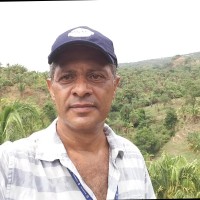 Joao Batista