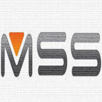 MSS Egypt Maximum Security Solutions