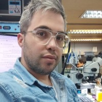 سعید بابایی