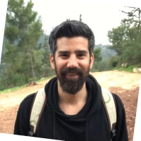 shai ben haim
