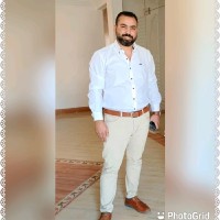 Romany Rizk