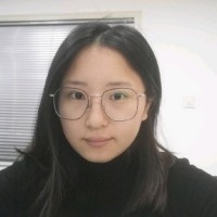 毛冬青