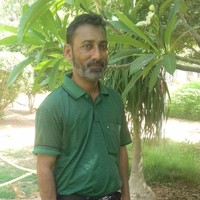 Ameen Siddiqui