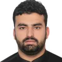 Hamid Ullah