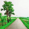 Abul Hasan Khan