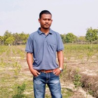 Nokul Kaisso