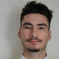 Gabriel Ionel Amariutei