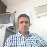 ramin tayebi