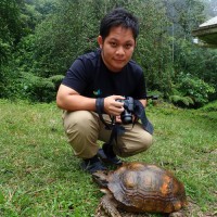 Chun Xing Wong