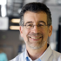 Mike Herr