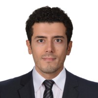 Tansu Bozdogan, Msc., Pmp