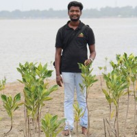 Manimannan A