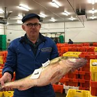 Hessel Van