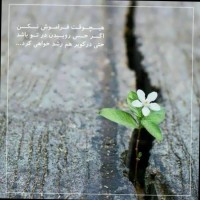 F Beheshti