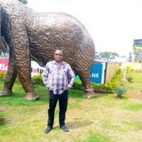 Francis Muthee