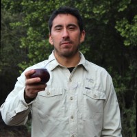 Tomás Navarrete Troncoso