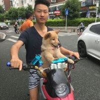 胡维华