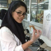 Mitra Mosayebi