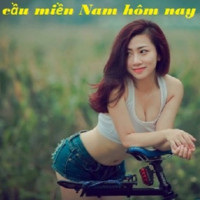 Soi Cầu Miền Nam
